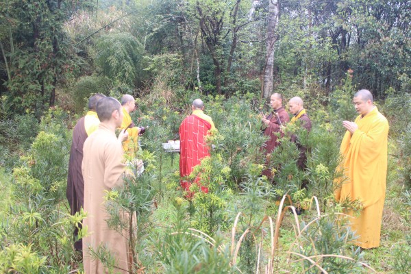 雁荡山能仁寺全体僧众举行了一年一度的扫塔上供祭祖法会(图9)